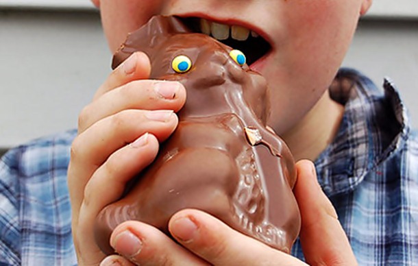 Easter bunny chocolate