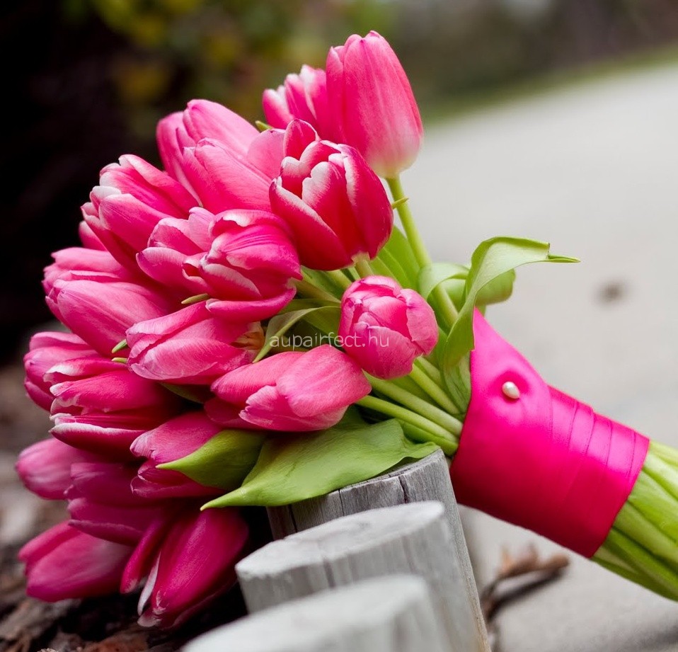 mother_day.jpg_Flower